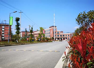 校園景色、.jpg