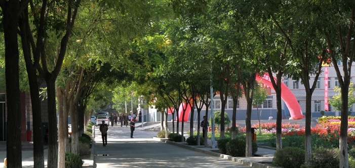  2020年四川管理職業(yè)學院五年制大專有哪些專業(yè)