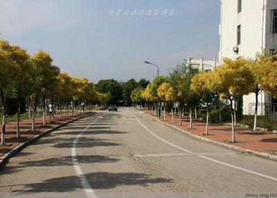 報名