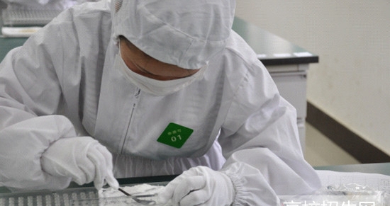  四川省藥劑專業(yè)怎么報(bào)名及報(bào)名方式