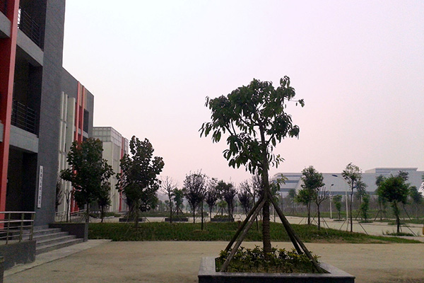 成都城市建設(shè)技工學校