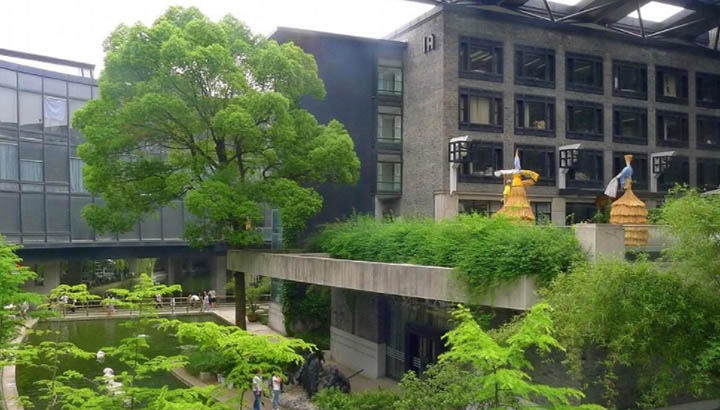 四川哪個康復(fù)治療專業(yè)學(xué)校好及錄取分數(shù)線
