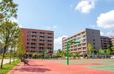  四川科技職業(yè)學(xué)院專升本該怎么做？