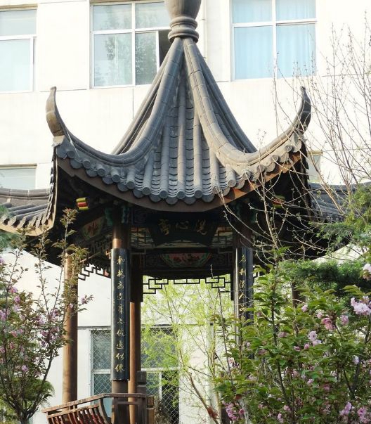  廣元職工醫(yī)學院2019有哪些專業(yè)及什么專業(yè)好