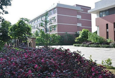  都江堰職業(yè)中學學前教育專業(yè)怎么樣？