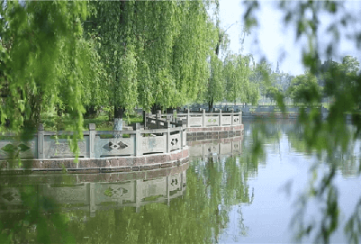  四川現(xiàn)代藝術(shù)學(xué)校怎么樣|師資好不好？