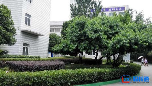 成都市中山職業(yè)技術(shù)學(xué)校具體位置在哪里