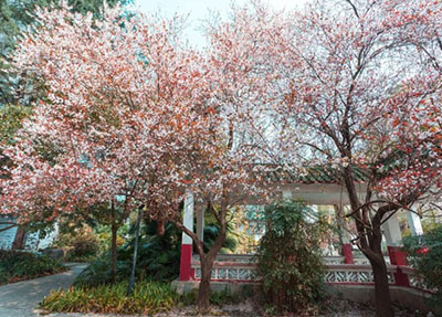 為什么寧愿花高價(jià)讀私立高中也不讀職高？