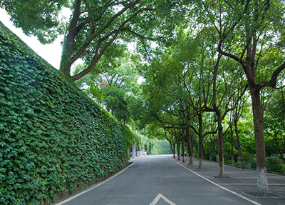 四川天府口腔醫(yī)學職業(yè)技術(shù)學院