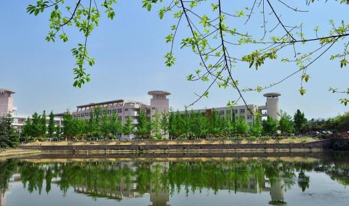 成都大學醫(yī)護學院