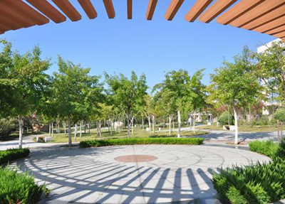 四川興科城市交通技工學校有哪些專業(yè)