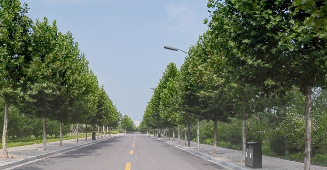  四川省阿壩衛(wèi)生學校2020招生錄取分數(shù)線