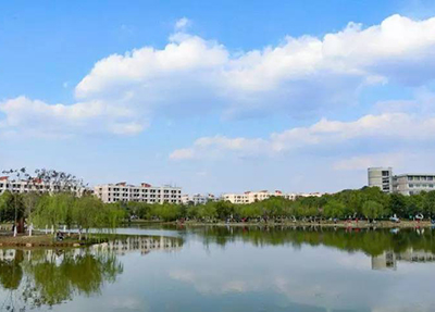 補助政策