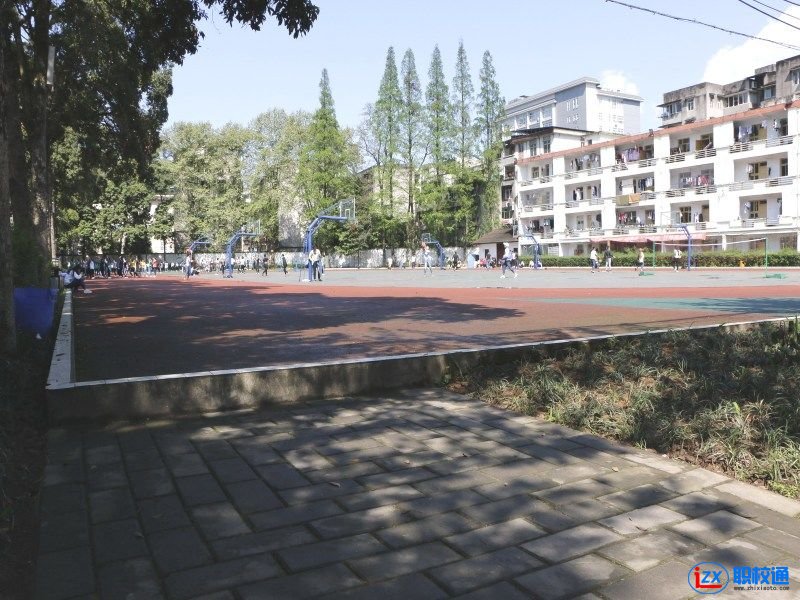 四川省檔案學校2020年分數線多少