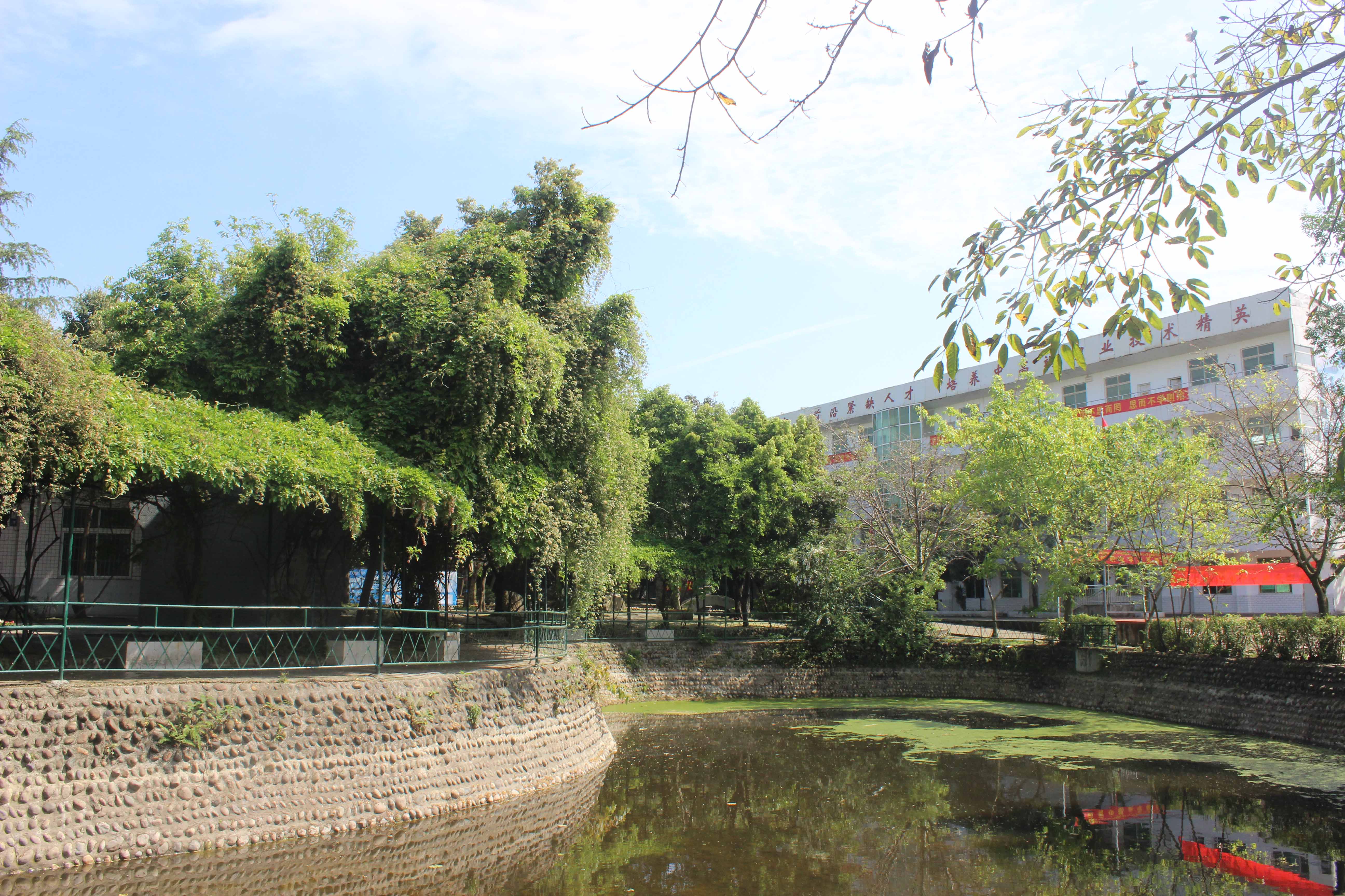 四川共青中等職業(yè)學(xué)校地址在哪里?