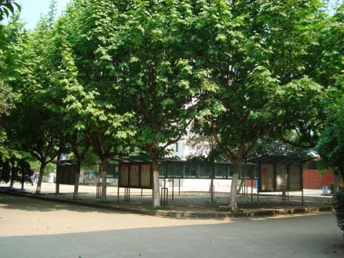 2020年四川省工業(yè)貿(mào)易學(xué)校招生對象及招生條件