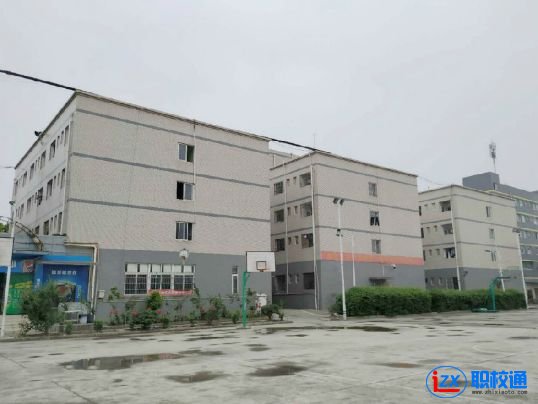 成都青華職業(yè)學校開設了哪些專業(yè)