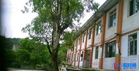 宜賓縣科普職業(yè)技術(shù)學校招生辦電話多少