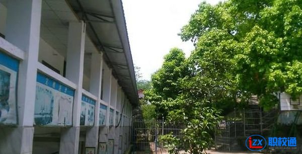 宜賓縣科普職業(yè)技術(shù)學(xué)校開設(shè)了哪些專業(yè)