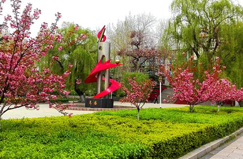齊魯技術(shù)學院都開設有哪些特色專業(yè)？