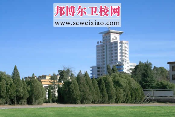 楚雄醫(yī)藥高等?？茖W校