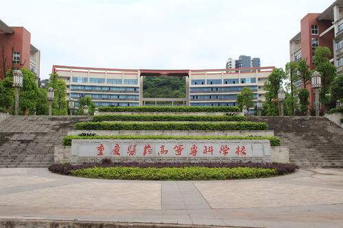 重慶醫(yī)藥高等?？茖W校校門