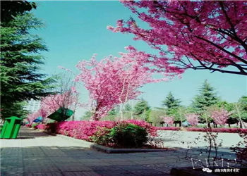 曲靖財經(jīng)學校2019年初中起點五年制招生信息