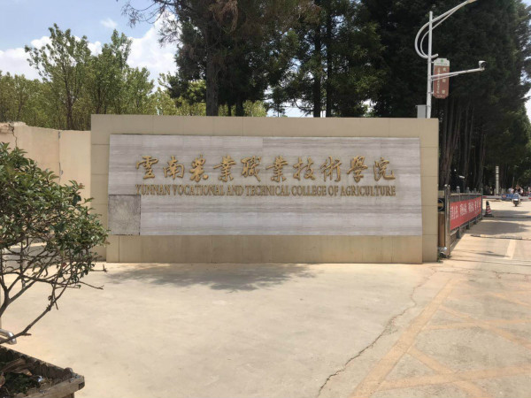 云南農(nóng)業(yè)職業(yè)技術(shù)學(xué)院2019年五年一貫制大專招生簡章