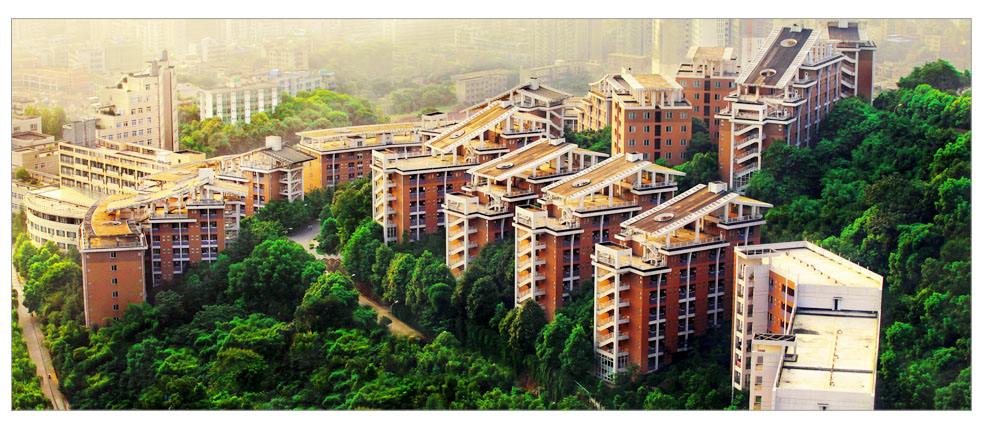  重慶理工大學(xué)各專業(yè)2020年錄取原則有哪些呢？