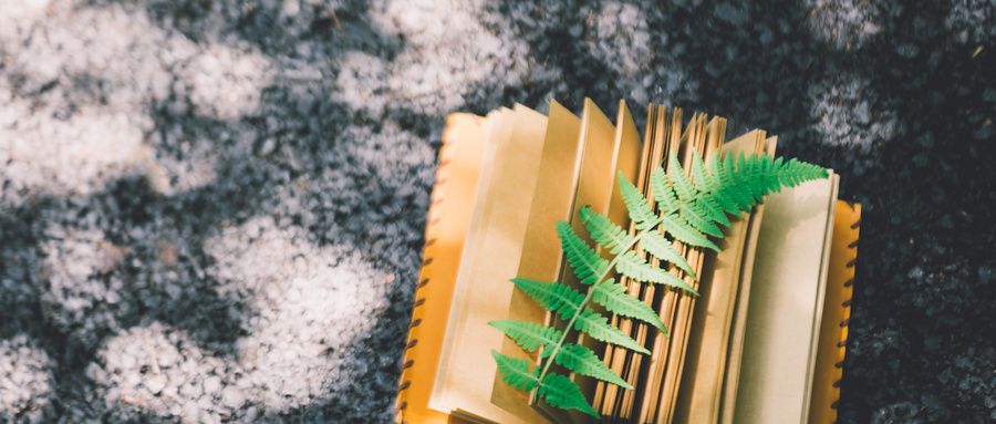 如何運營好學校官網(wǎng)？看這里！
