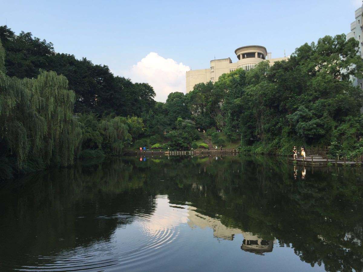  2020年西南大學(xué)培養(yǎng)體系如何呢？