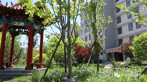 中國煤礦文工團藝術(shù)學(xué)?！H坊市工業(yè)學(xué)校合作專業(yè) 2020年招生開始了！