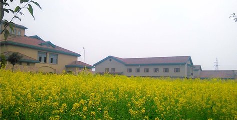 重慶輕工職業(yè)學(xué)院的學(xué)費(fèi)