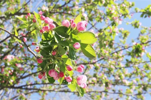 濟(jì)南應(yīng)用技術(shù)職業(yè)中等專業(yè)學(xué)校開(kāi)展安全教育宣傳活動(dòng)