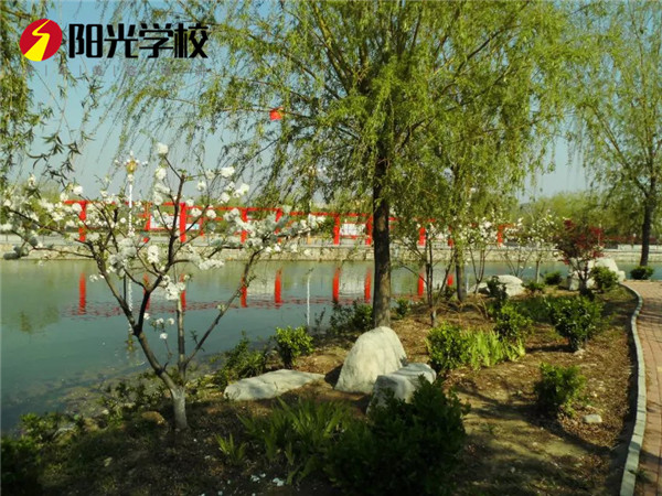 在泰安哪里能學(xué)到專業(yè)的汽車技術(shù)？
