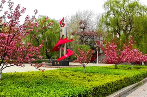 齊魯技術(shù)學(xué)院有何報(bào)名條件？