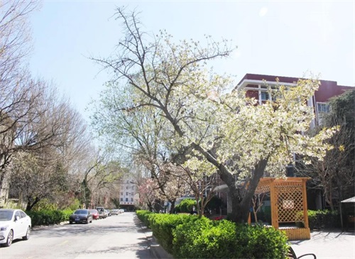 濟(jì)南應(yīng)用技術(shù)職業(yè)中等專業(yè)學(xué)校開展疫情防控應(yīng)急演練