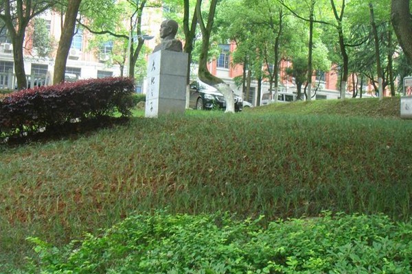 上海高考錄取通知書發(fā)放時間及郵政快遞EMS官網查詢
