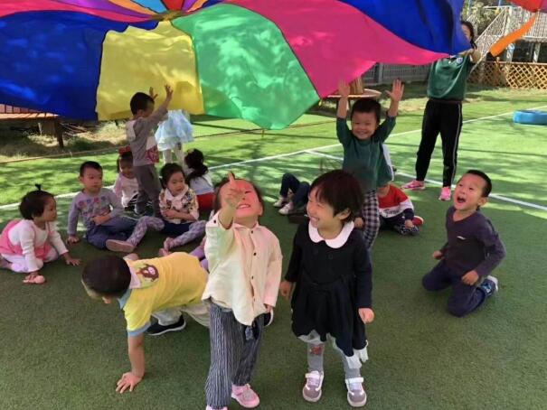 你知道濰坊技師學院翰林定向班幼兒教育專業(yè)人才培養(yǎng)方案是什么嗎？
