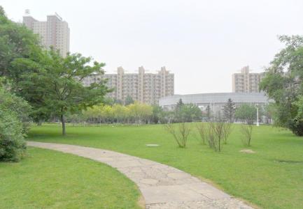 成都華大醫(yī)藥衛(wèi)生學(xué)?？谇恍迯?fù)工藝學(xué)專業(yè)介紹