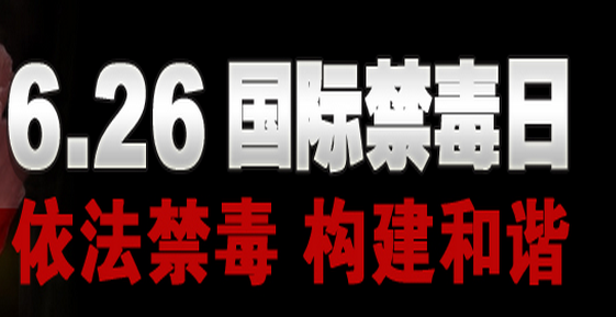 2020年社區(qū)國(guó)際禁毒日宣傳活動(dòng)方案（兩篇）