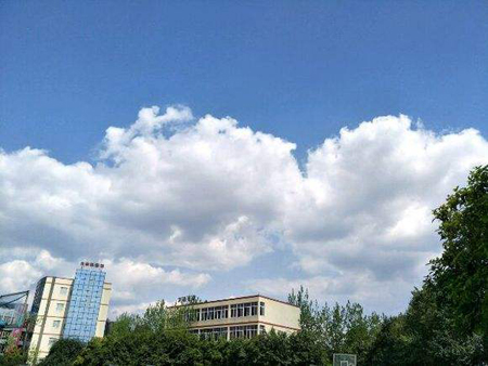  成都華大醫(yī)藥衛(wèi)生學校平時有哪些活動？