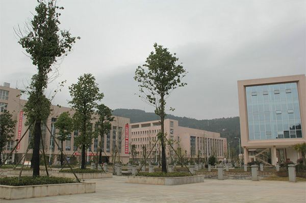 成都經濟汽車技術學校有哪些專業(yè)