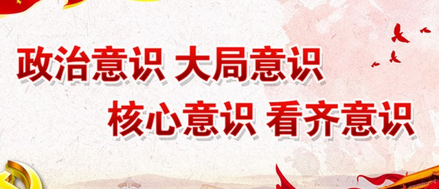 2020年黨組織學(xué)習(xí)樹牢四個(gè)意識(shí)堅(jiān)定四個(gè)自信心得體會(huì)
