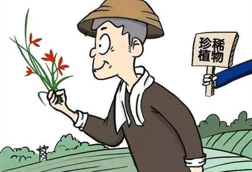 植物保護專業(yè)就業(yè)方向有哪些？