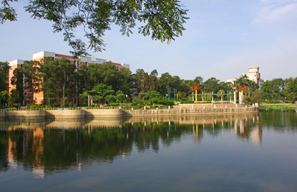 廣西大學(xué)怎么樣 評(píng)價(jià)排名好不好(10條)