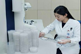 大學臨床醫(yī)學就業(yè)形勢
