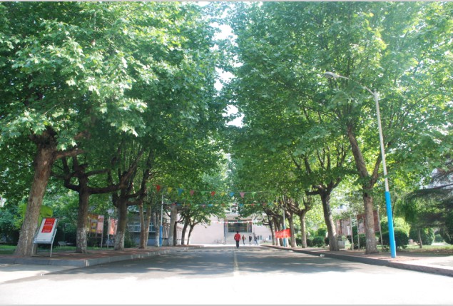 山東冶金技師學(xué)院軍校職教學(xué)院好嗎？
