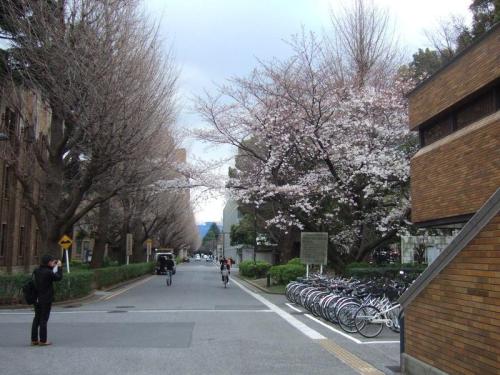 四川紅十字衛(wèi)生學校的招生專業(yè)有哪些？畢業(yè)生就業(yè)率高不高？