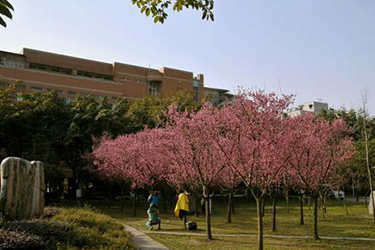 成都大學(xué)中職部（四川成都衛(wèi)生學(xué)校）衛(wèi)校學(xué)費(fèi)
